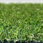 Amazon Artificial Grass