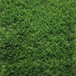 Flora   Artificial Grass