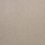 SEA SHELL 1582-LAZ41582