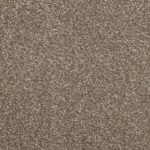 LATTE 1586-LAZ41586